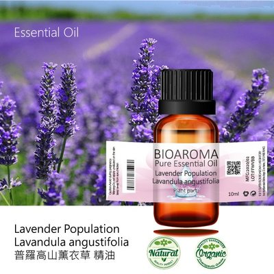 【芳香療網】Lavender Oil Spike - Lavandula latifolia 穗花薰衣草精油 10ml