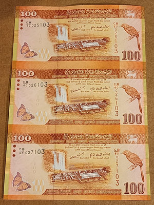 【亞洲】2010年 斯里蘭卡100盧比紙幣 連體鈔 全新UN