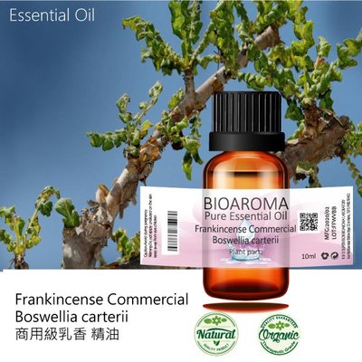【純露工坊】乳香精油Frankincense Olibanum BP  10ml
