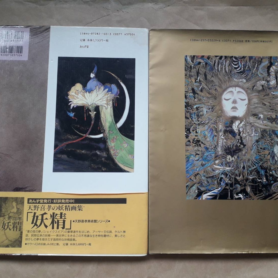 畫冊/(絕版)Yoshitaka Amano天野喜孝-源氏物語+飛天(日本版，2本合售 
