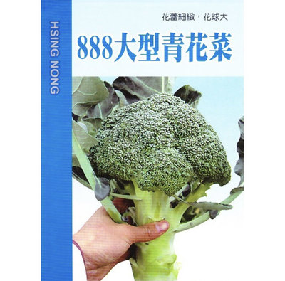 種子王國 888大型青花菜【蔬果種子】綠花椰菜 興農牌 每包約1公克