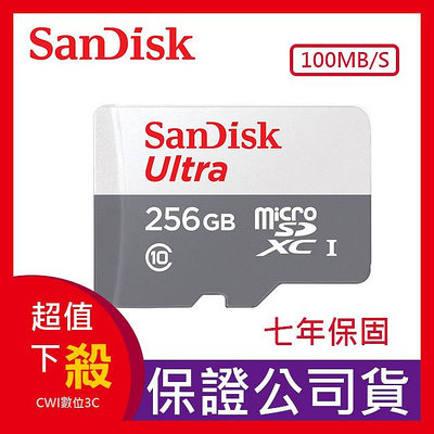 【現貨】新版100MB/s SanDisk  256G micro TF UHS-I C10 記憶卡 台灣公司貨