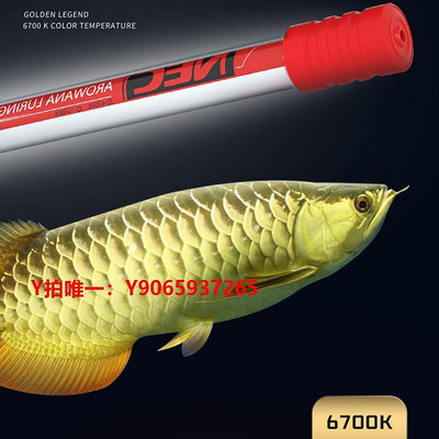 魚缸燈日本nec龍魚專用發色燈增色仟魚三基色魚缸燈紅龍龍魚燈潛水燈