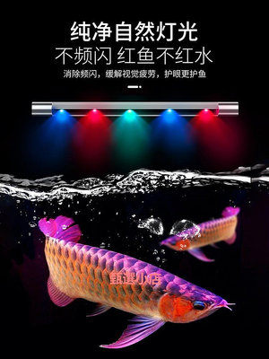 精品松寶三色變色燈管龍魚燈水草燈水中燈魚缸燈led燈防水節能潛水燈