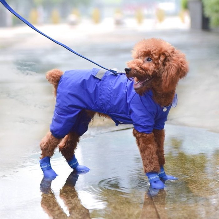 【珍愛頌】LJ001 寵物雨鞋 寵物防滑雨鞋 寵物防滑鞋 防滑鞋 防水鞋 硅膠鞋 狗狗雨鞋 狗鞋子 小狗鞋 寵物鞋 犬鞋