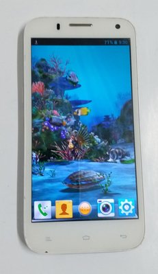 G-PLUS GN810 白色5.3吋 智慧型手機 二手 外觀 八成新 使用功能正常 已過原廠保固期