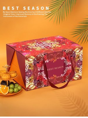 高檔通用水果禮品盒橙子火龍果手提包裝盒雙層創意水果禮盒空盒子~特價