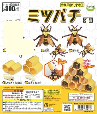 【扭蛋屋】蜜蜂模型與巢穴《全4款》