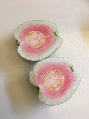╭☆東霖園藝☆╮新品種水果苗(粉紅蜜拔)粉紅蜜芭樂 .番石榴 .果肉是粉紅的喔..不是紅心拔