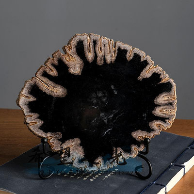 化石天然木化石原石切片桌面擺件博古架格子樹化石裝飾設計師樣板間