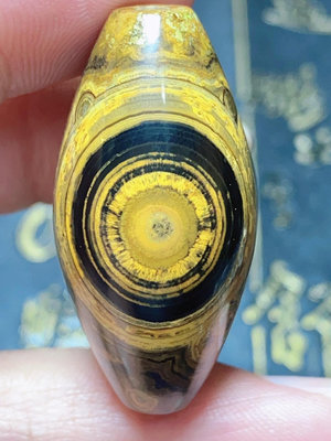 極品毛毛眼雞油黃黑套線蒙天珠，尺寸4019，億萬年天然形7169