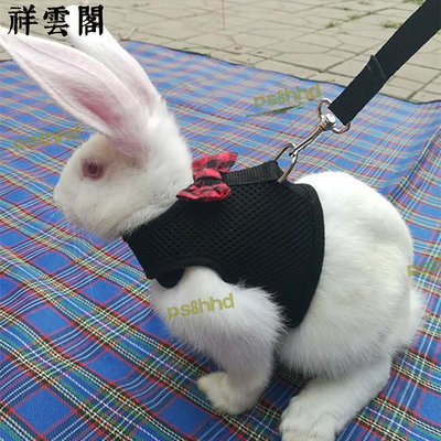 【現貨】YUB龍倉鼠金絲熊貂兔子小寵牽引繩溜兔繩兔繩兔兔專用牽引繩咪