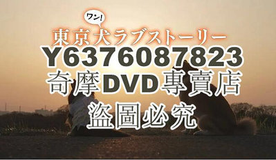 DVD影片專賣 2023日劇 東京犬愛情故事 杉田智和 日語中字 1碟
