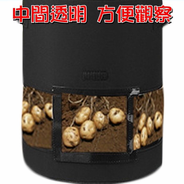 【珍愛頌】N045 無紡布 馬鈴薯種植袋(中透明) M號 花生種植袋 紅蘿蔔種植袋 白蘿蔔種植袋 根莖類種植 蔬菜種植