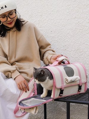 貓包外出便攜貓咪背包手提太空艙貓籠子狗狗雙肩包貓書包寵物用品