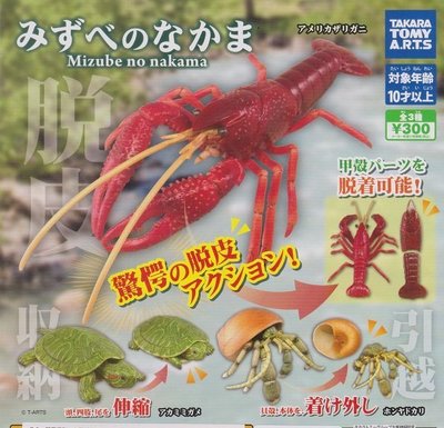 【奇蹟@蛋】T-ARTS (轉蛋)蝦 烏龜 寄居蟹 水邊生物圖鑑 全3種整套販售  NO:5587