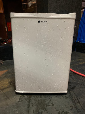 [中古] TAIGA 40 L 單門直立式冷凍櫃 營業用冷凍櫃 冰母乳 台中大里二手冰箱 台中大里中古冰箱 修理冰箱 維修冰