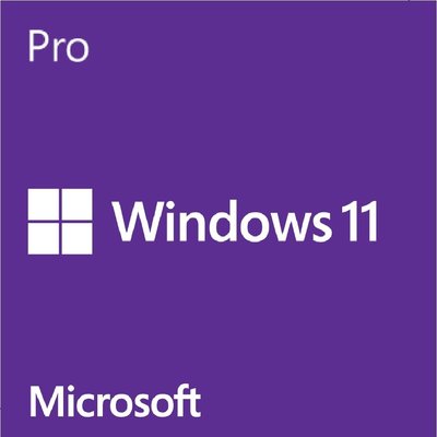 【鄰家電腦】微軟 Microsoft Windows Pro 11 繁中專業-64位元隨機版
