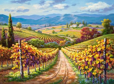 300587 3000片歐洲進口拼圖 CAS 繪畫風景 美麗的葡萄園