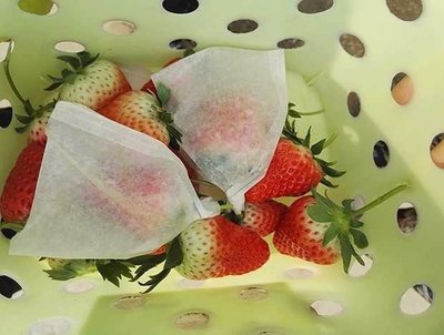 草莓 水果套袋 100只  防水 防蟲 無花果 枇杷 櫻桃