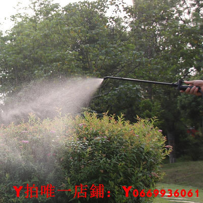 日本進口噴霧器氣壓式家用手動高壓澆花噴壺 洗車壺園藝工具用品