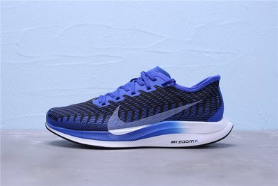 Nike Zoom Pegasus Turbo 2 輕量透氣 藍白 休閒運動慢跑鞋 男鞋 AT2863-400