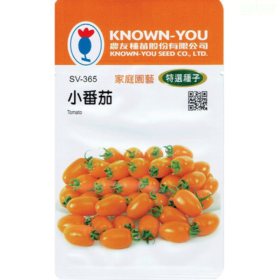 種子王國 小番茄 Tomato(sv-365．橙黃) 【蔬菜種子】農友種苗特選種子 每包約20粒