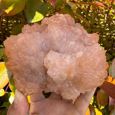 天然水晶 馬達加斯加粉水晶花朵水晶擺件 聚寶盆晶洞 11.5【老王收藏】27720