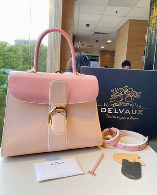 43：Delvaux brillant拼色28