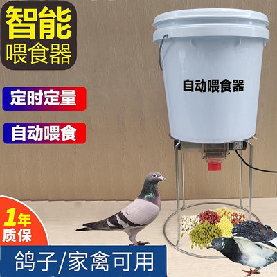 餵食器鴿子用品用具自動喂食器信鴿食槽自助定時定點養雞喂鴿喂雞的神器