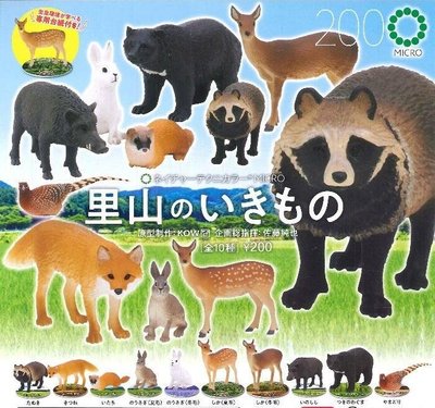 【奇蹟@蛋】 IKIMON (轉蛋)NTC-日本里山生物 全10種整套販售 NO:6708