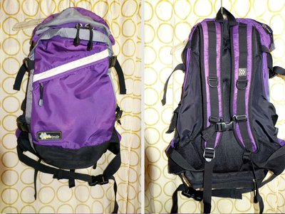 Beebub 大型後背包，二手堪用零件品登山背包 電腦背包 背包客旅行 可放筆電 減壓揹帶背包(NIKE愛迪達參考