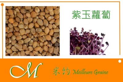 《Meilleur》紫玉蘿蔔芽菜種子 Microgreens微型菜苗100g