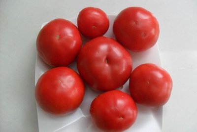 牛番茄--種子40顆30元