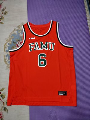 Nike LeBron James  Florida A&amp;M Rattlers聯盟全新球衣 L號橘色