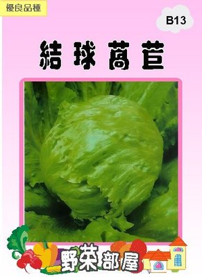 【野菜部屋~】B13 日本夏冠結球萵苣種子0.75公克 , 美生菜 , 每包15元~
