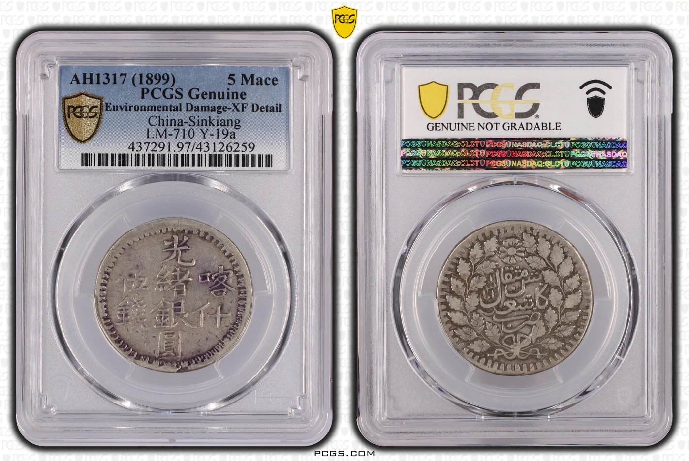 新疆省造光绪銀元伍錢AH1317喀什 PCGS XF97 包漿不錯 [認證編號43126259] 【和美郵幣社】