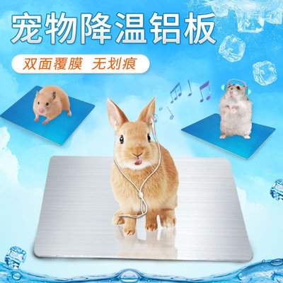 寵物夏季降溫鋁板兔子荷蘭豬龍貓倉鼠冰墊散熱隔熱片降溫夏天消暑~特價