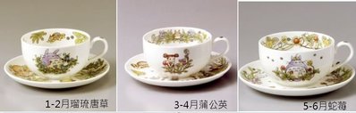 鼎飛臻坊 現貨 日本製 宮崎駿 龍貓 TOTORO  骨瓷 咖啡 杯盤組 (全6款) 日本正版