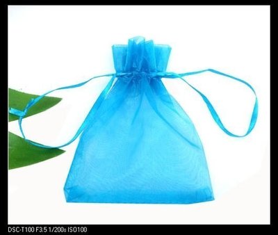 ＊婚禮小物＊15*20土耳其藍雪紗袋~結婚喜糖袋.防塵袋.伴手禮品包裝袋.香包束口袋.收納袋~訂作
