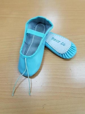 【樂樂鋪】台灣製造 幼稚園室內鞋 兒童室內鞋 芭蕾舞鞋 皮軟鞋 (藍色47~75賣場)