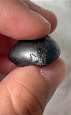 【二手】Sikhote-Alin阿林鐵隕石精品15.2克，超級定向小 古董 老貨 收藏 【錦繡古玩】