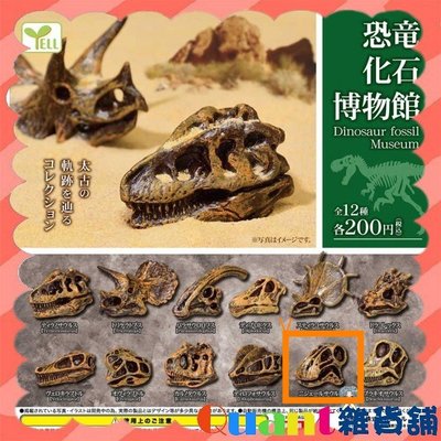 ∮Quant雜貨鋪∮┌日本扭蛋┐ YELL 恐龍化石博物館-太古篇 單售 尼日龍  恐龍 恐龍化石 博物館 轉蛋