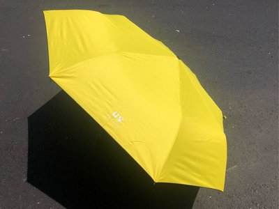30吋大傘批發價 多色