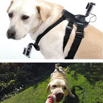 【極品生活】狗胸帶 ~狗背帶 寵物背帶 適用於大部分運動攝影機如GOPRO SJ4000 小蟻 SQ13 SQ12 R3
