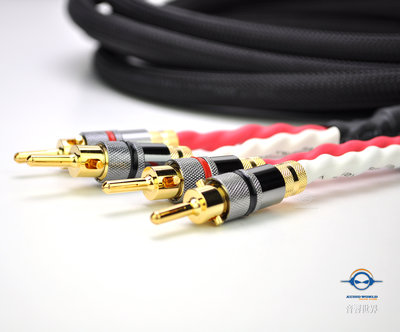 【音響世界】美國Pro Co Power Plus 11-4+隔離網BIWIRE版喇叭線2.5米一對》-售完補貨中