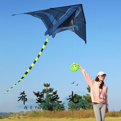 特技風箏新款飛機風箏大人專用高檔成人特大號超大型巨型專業高級