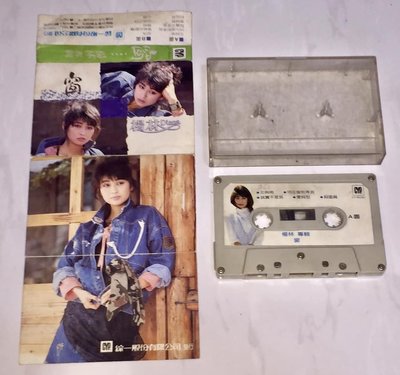 楊林 1986 窗 綜一唱片 台灣版 錄音帶 卡帶 磁帶 附歌詞 ( 窗外 別在窗前等我 / 齊秦陳昇小蟲製作 )