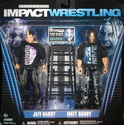 ☆阿Su倉庫☆WWE摔角 TNA巨星 Jeff & Matt Hardy Bloodline Action Figure HARDYS限量雙人組人偶公仔