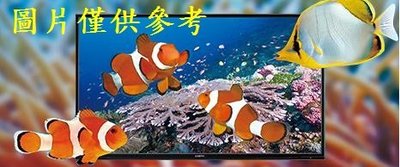 板橋-長美 SANLUX 台灣三洋電視 SMT-40MA7/SMT40MA7 40吋 液晶電視